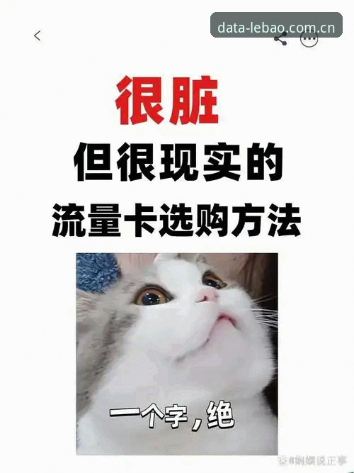 乐宝体育安卓版数据同步常见问题深度评测：一个老用户千字实测后的避坑指南